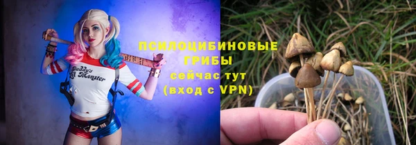 винт Горно-Алтайск