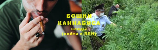 трава Горнозаводск