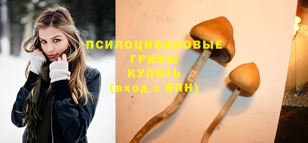 трава Горнозаводск