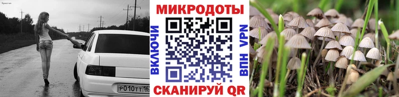 Псилоцибиновые грибы GOLDEN TEACHER  хочу наркоту  Черепаново 